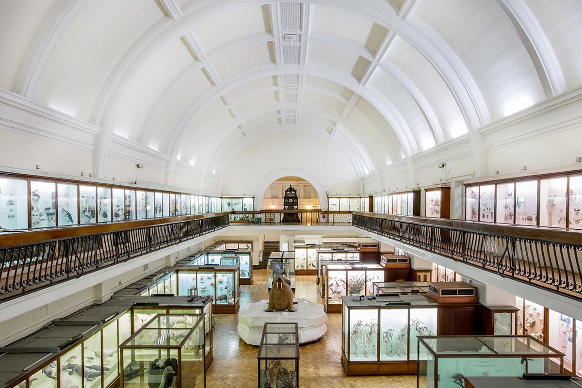 best london museums AMEX american express platinum art &amp; museums