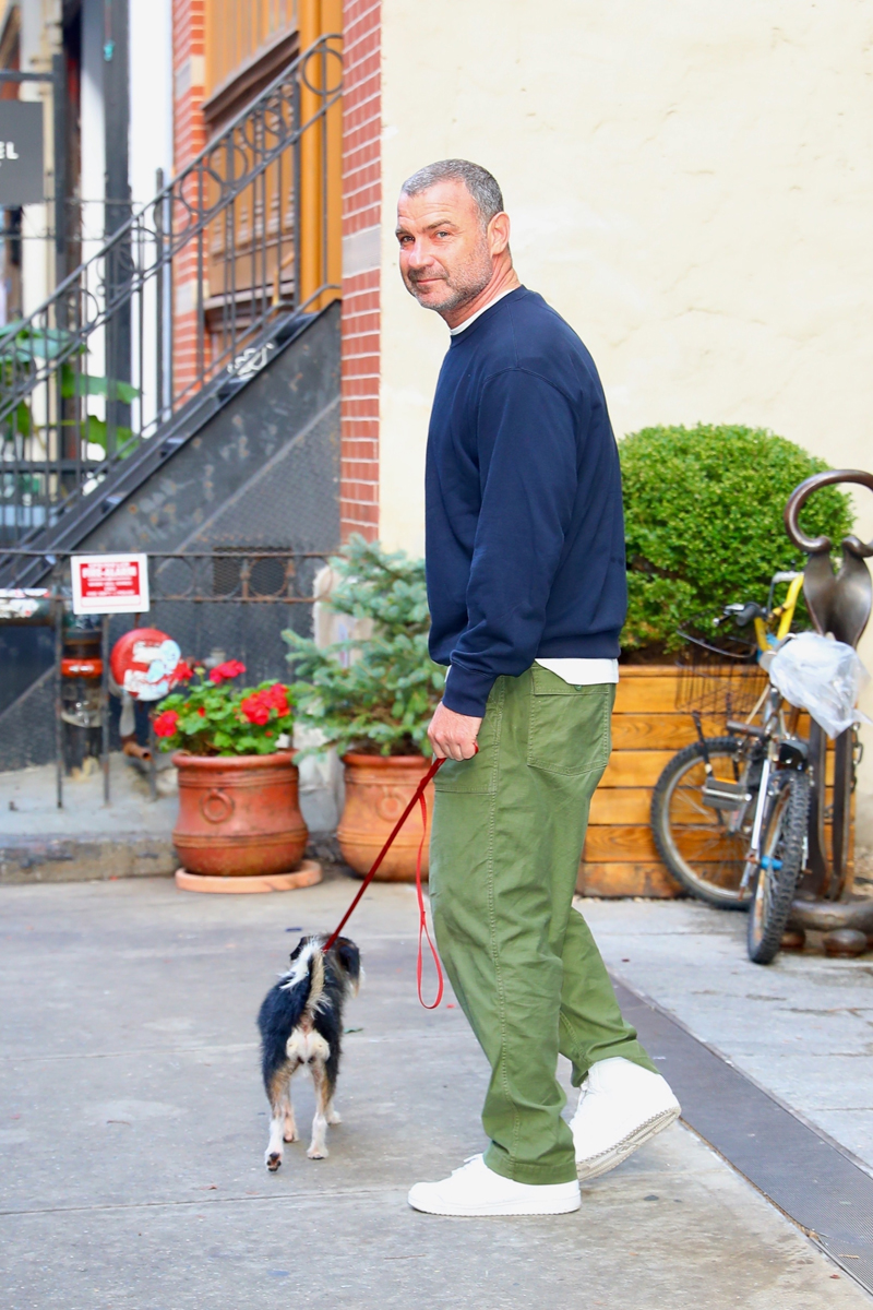 Liev Schreiber casually walks his dog this afternoon through Soho