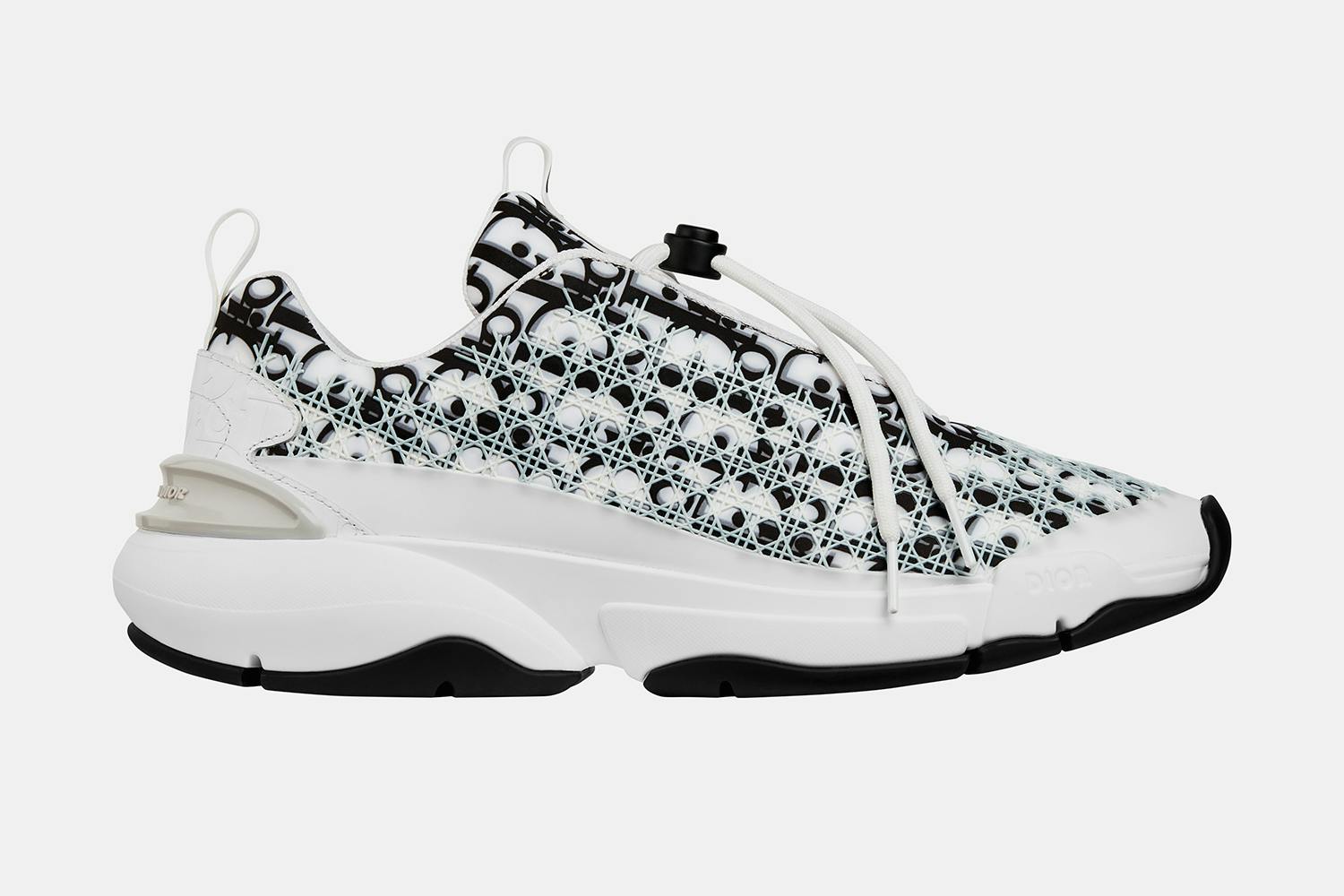 dior summer 2019 oblique accessories
