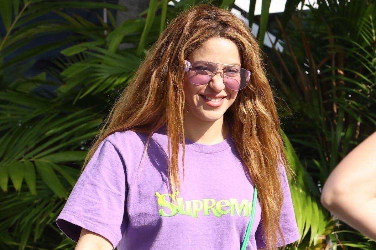 Shakira Wearing Shrek Supreme Wasn't on Our 2023 Bingo - Vimarsana News