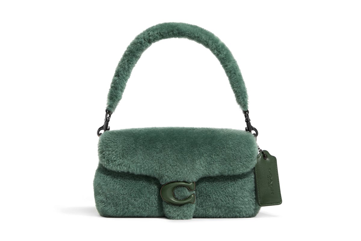 Arriba 68+ imagen fur coach bag