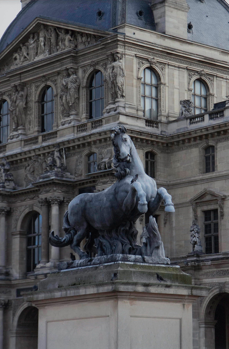 Horse (Paris, Louvre), 2011