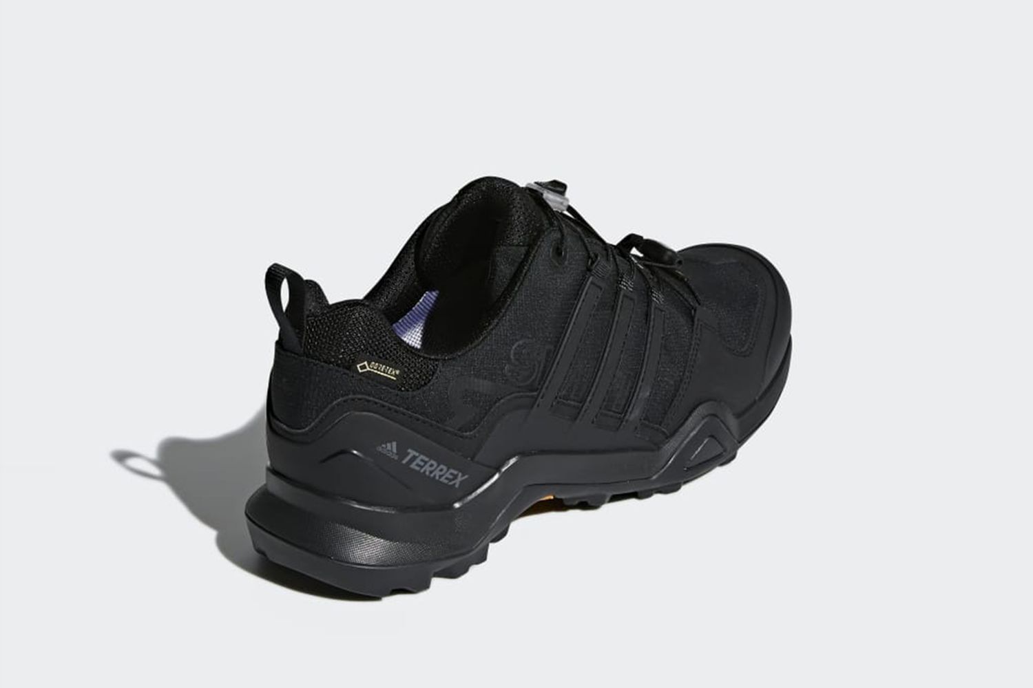Terrex Swift R2 GTX