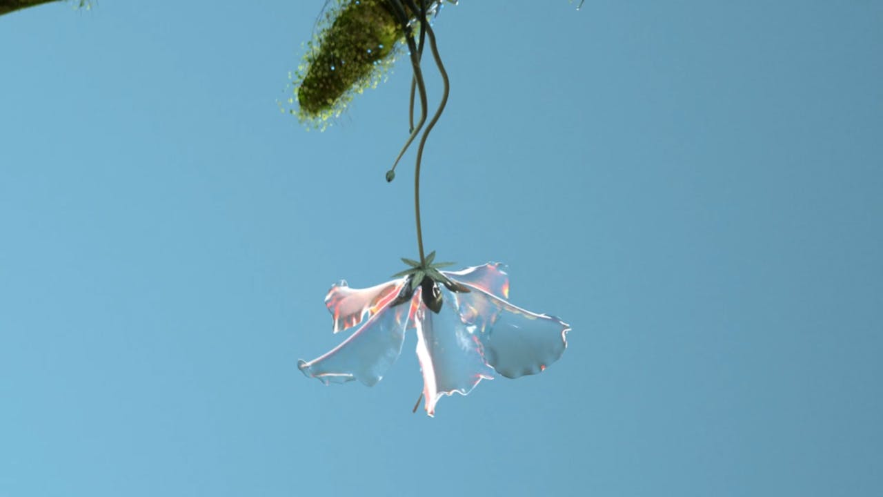 daily-paper-havaianas-flip-flop-collab-video-header-new-01