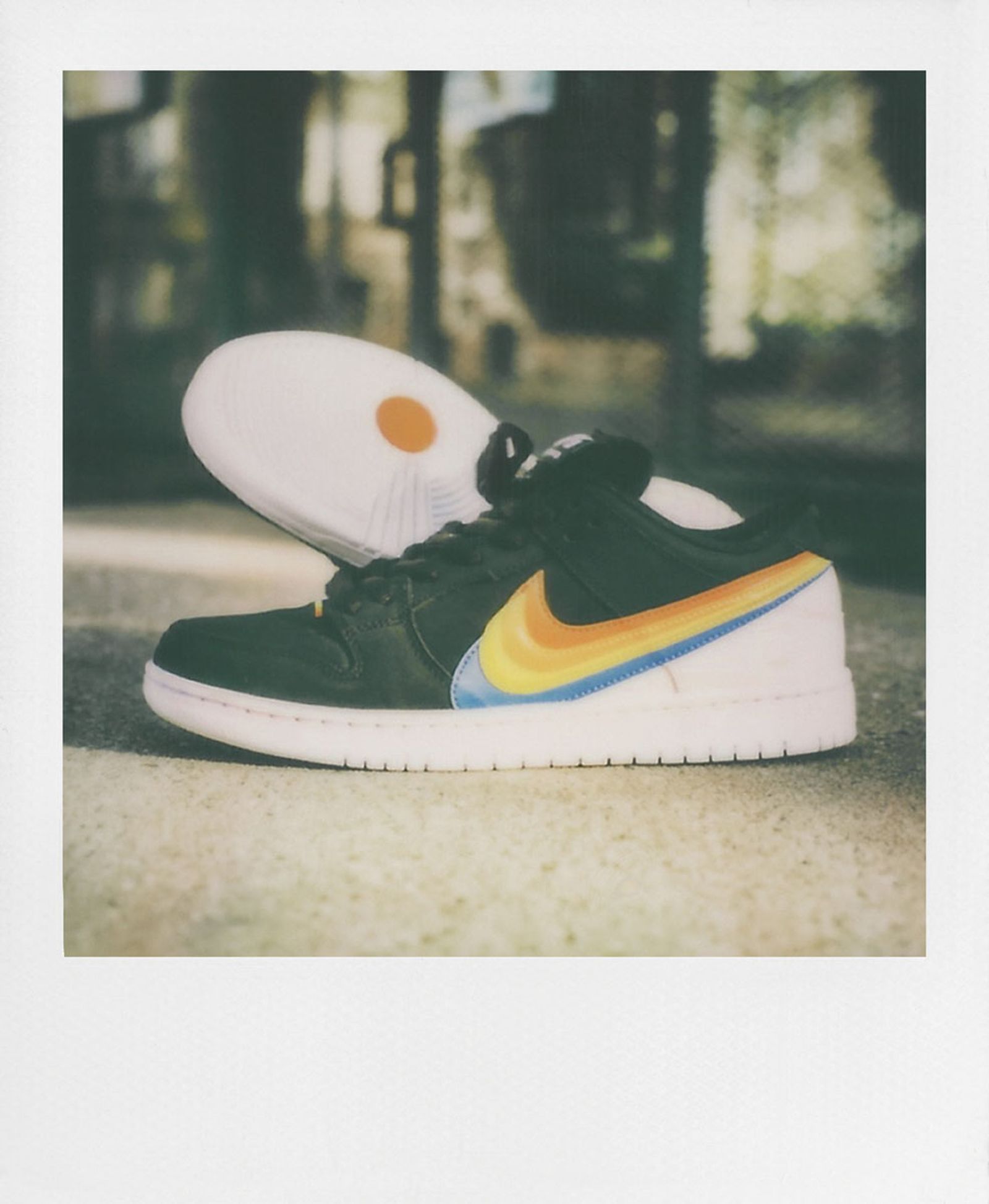 Nike SB x Polaroid (6)
