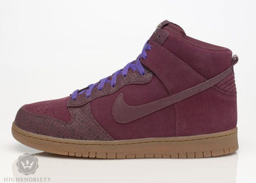 nike-spring-2009-dunk-hi-9