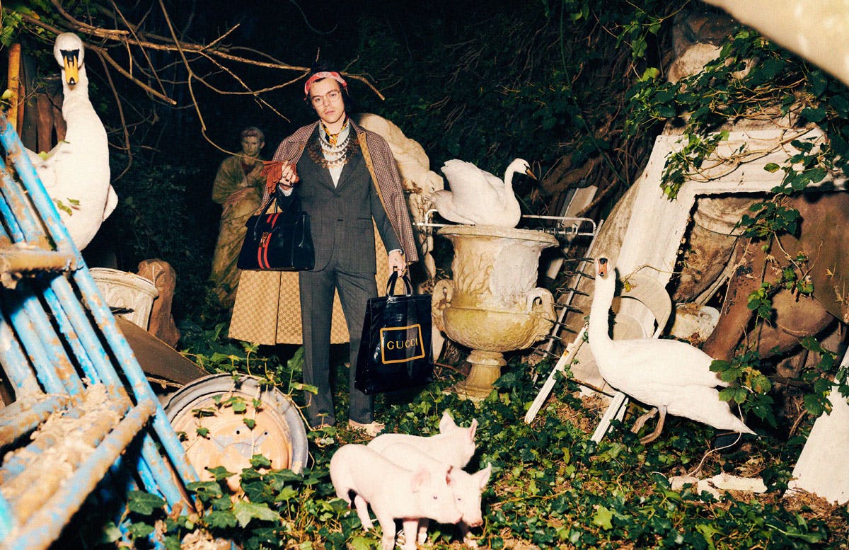 4harry styles gucci harmony korine pre fall