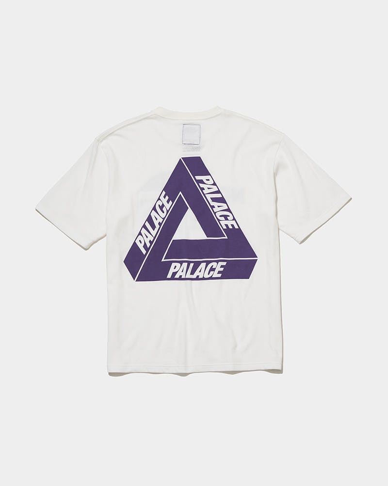 tnf-x-palace-10