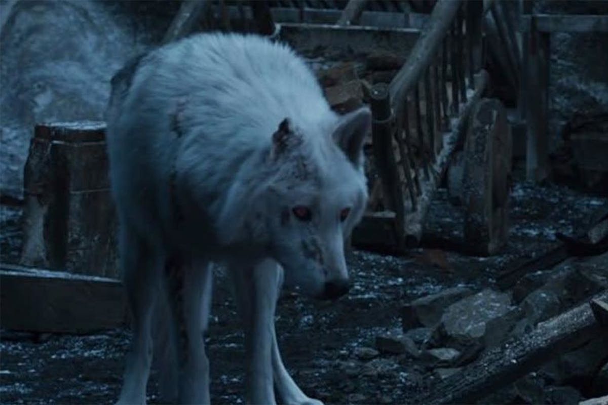 game of thrones cast season 2 53 game of thrones cast season 2 73