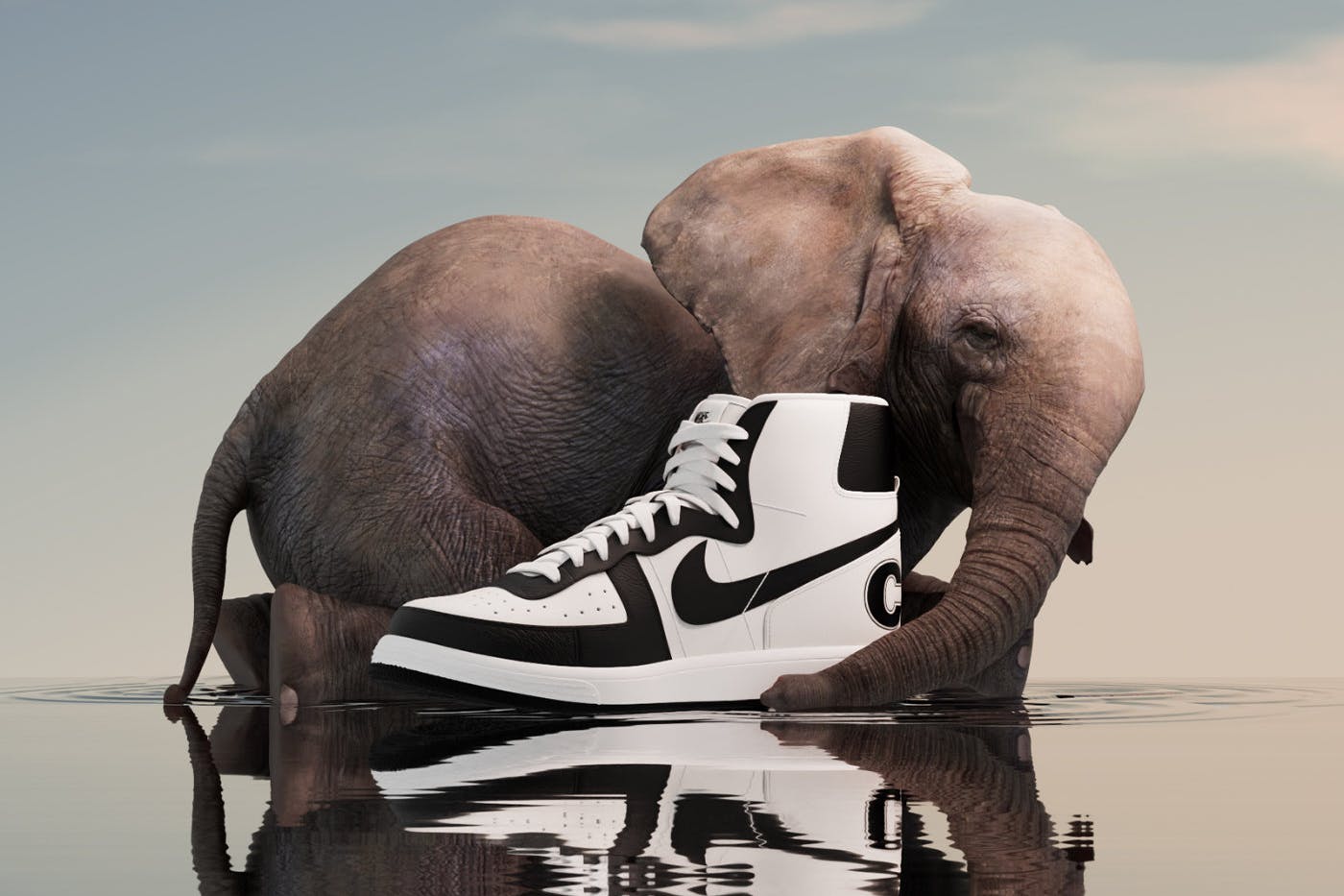comme-des-garcons-nike-terminator (3)