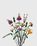 Lego – Icons Flower Bouquet Multi - Arts & Collectibles - Multi - Image 1