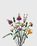 Lego – Icons Flower Bouquet Multi - Toys - Multi - Image 1