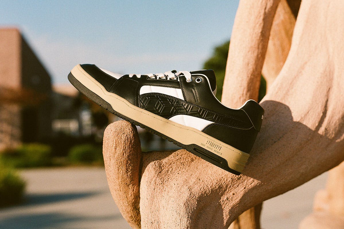 puma-mcm6