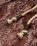 undefined - Image 6