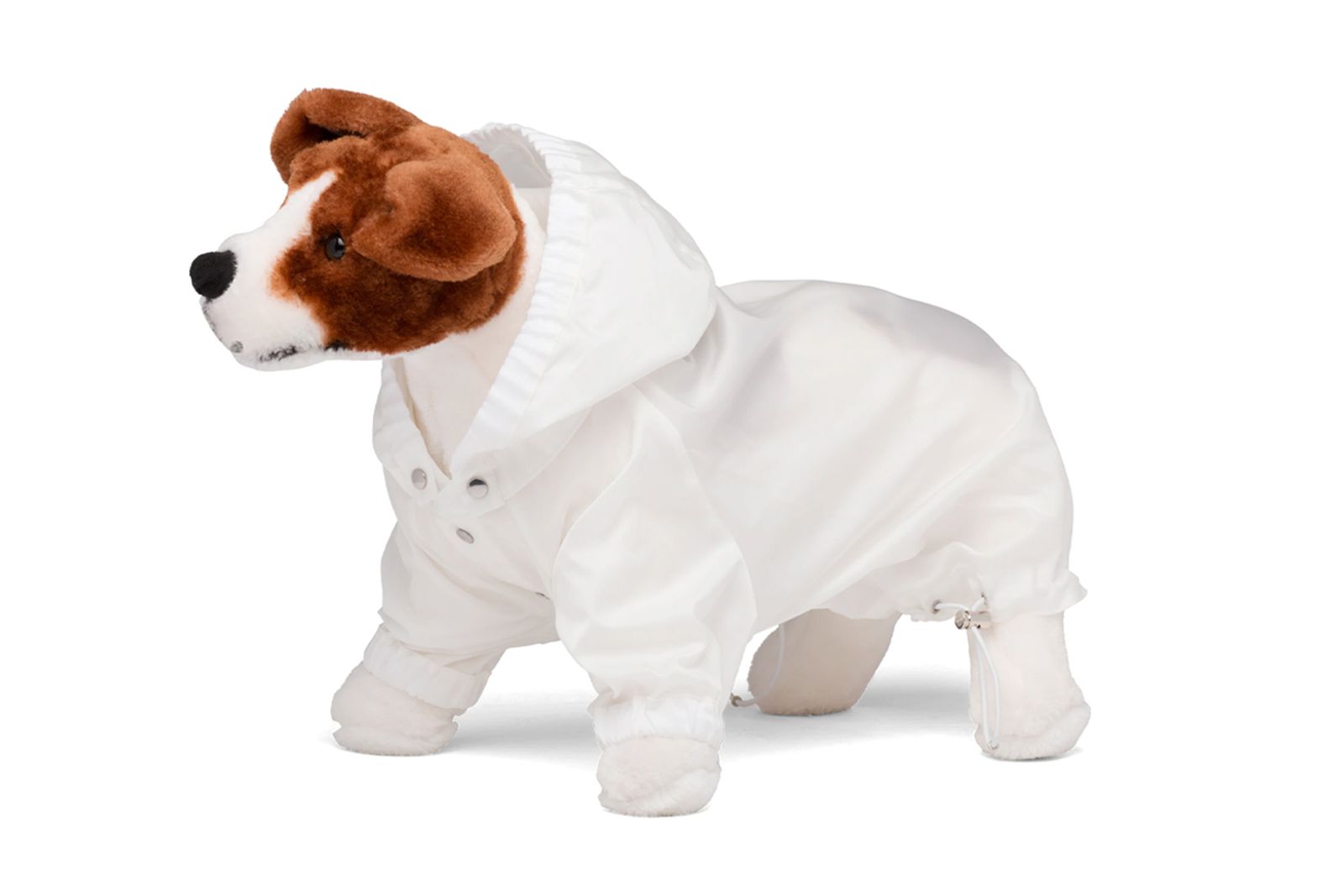 prada-dog-raincoat-4