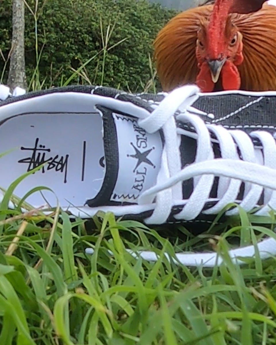 stussy-converse-chuck-70-release-date-price-5