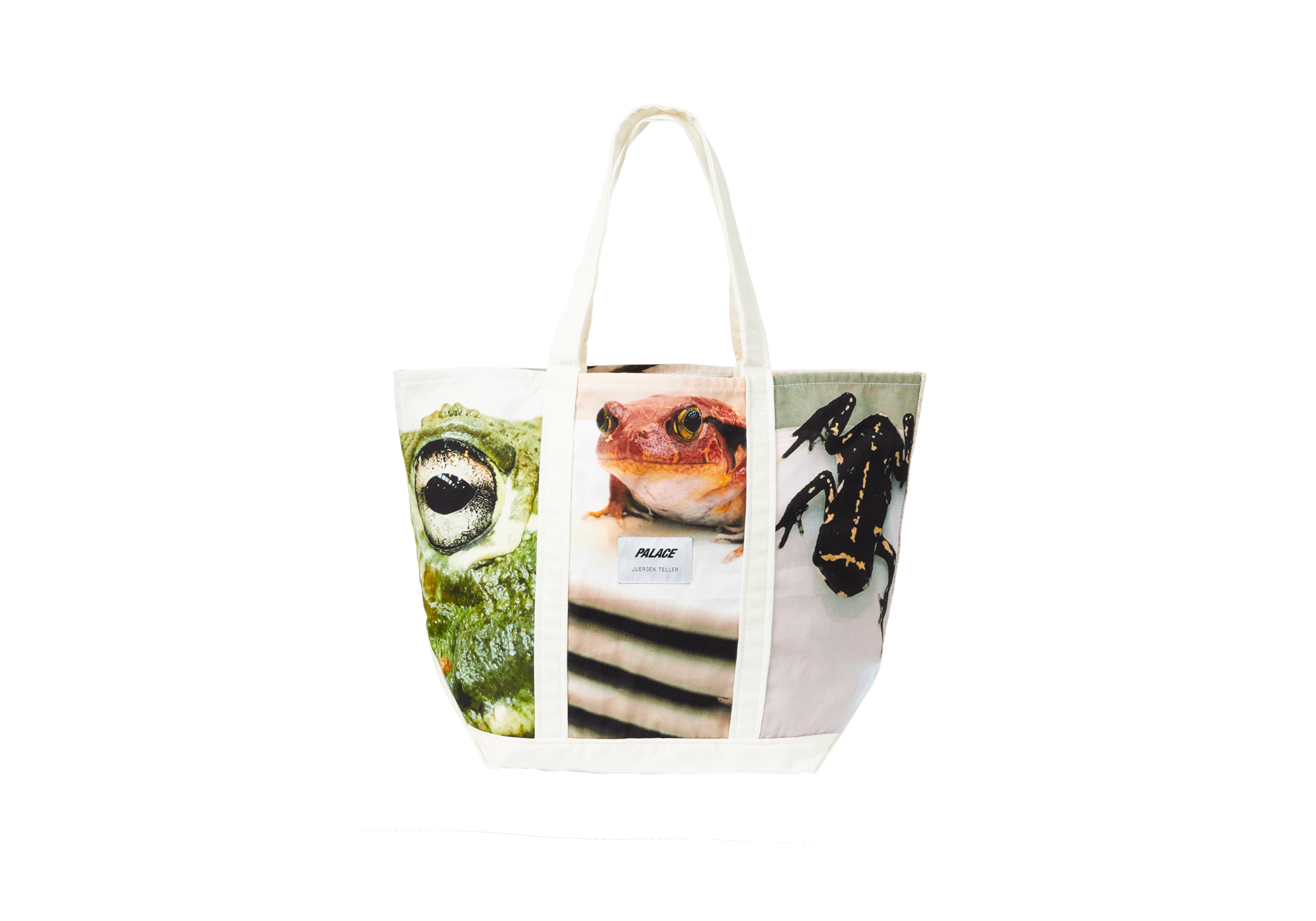 Palace_Spring_frog_tote_2181