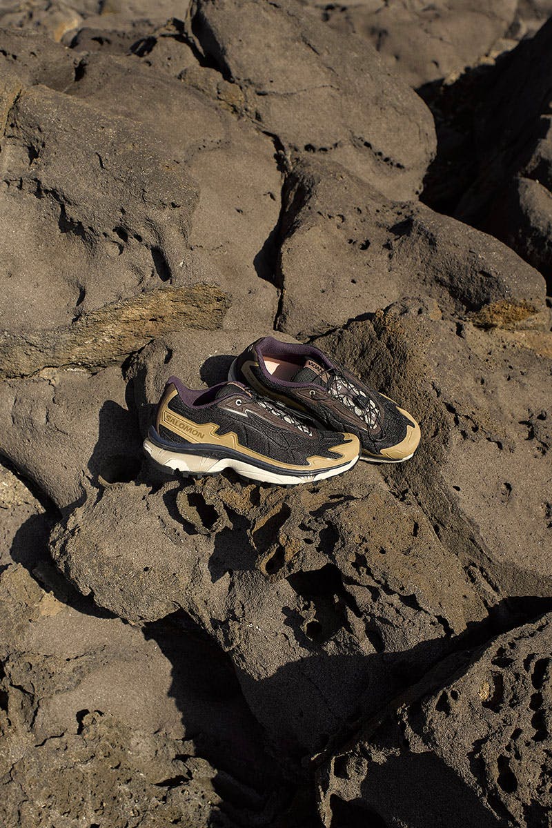 wood-wood-salomon-xt6