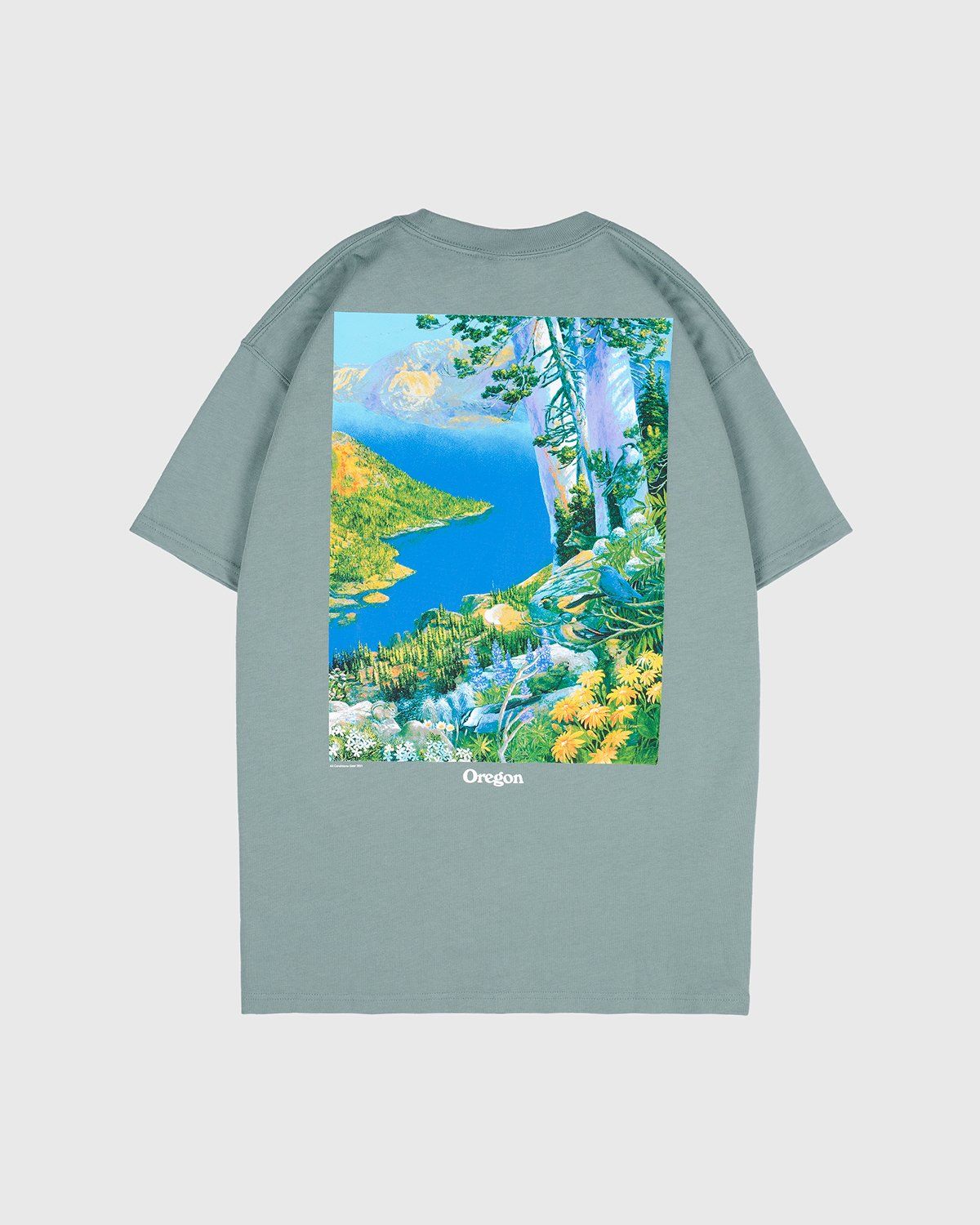 Nike ACG – M NRG ACG SS Crater Lake Tee Green - T-shirts - Green - Image 2