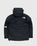 The North Face – 1994 Retro Mountain Light Jacket Black - Outerwear - Black - Image 2