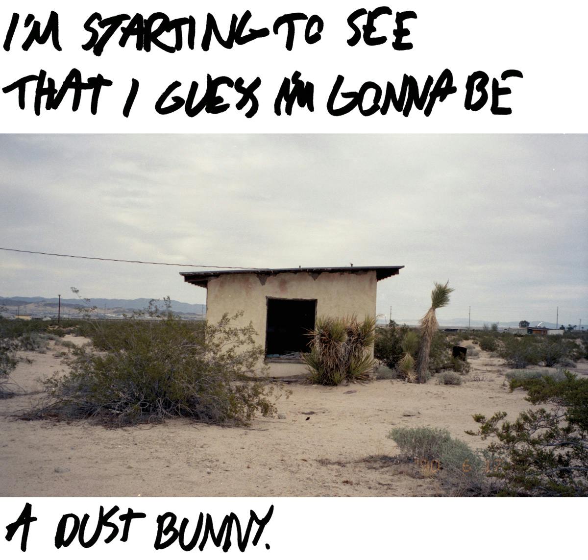 dust-bunny-not-in-paris-16
