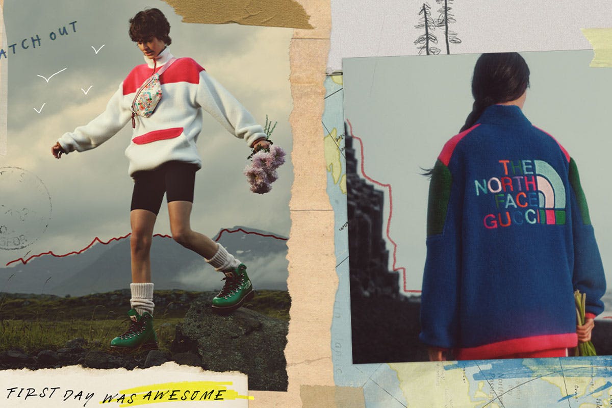 gucci-tnf3