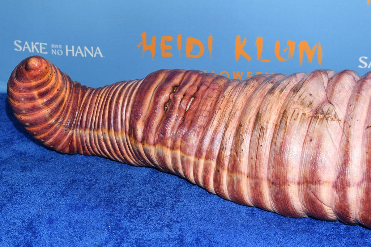 Heidi Klum Turned Into a Worm For Halloween