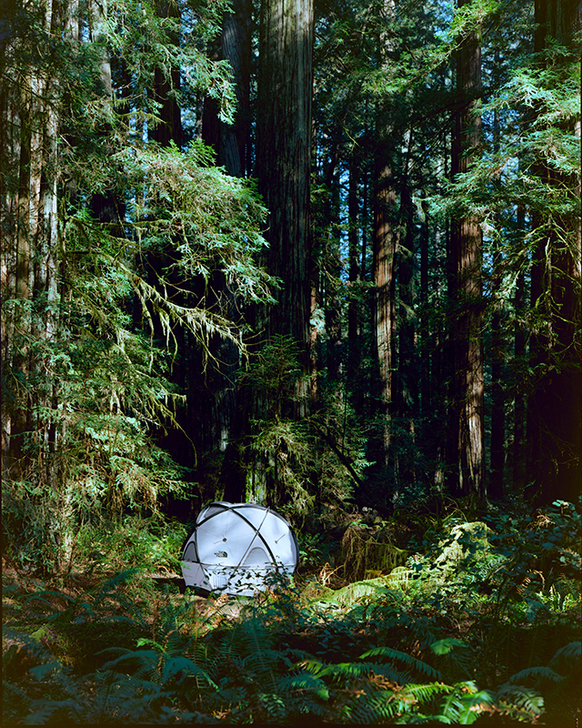 the north face geodome 4 tent