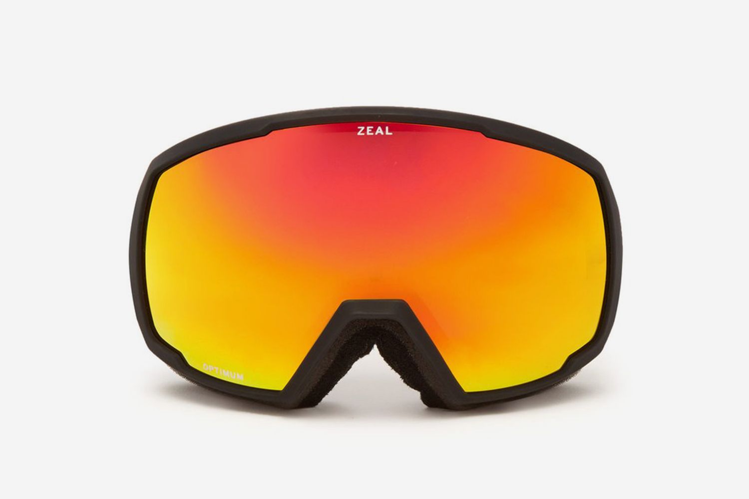 Nomad ski goggles
