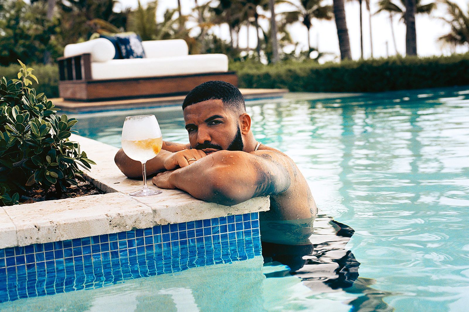 Drake in a pool