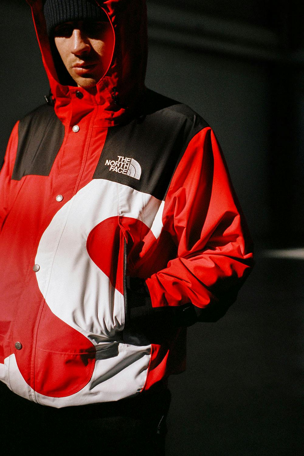 supreme x the north face fw20 NIGERIAN LAW SCHOOL