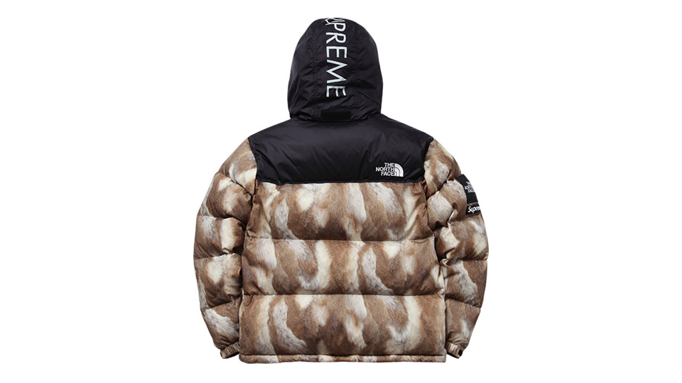 supreme x the north face history fw13