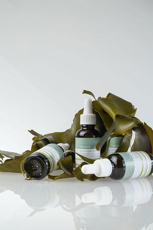 haeckels-estee-lauder-investment-1