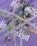 undefined - Image 6