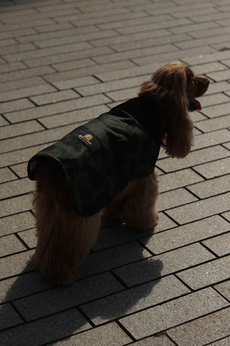 BAPE x Barbour FW21 Collaborative Collection