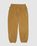 Nike ACG – Polartec® "Wolf Tree" Men's Pant Khaki - Pants - Brown - Image 1