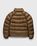 C.P. Company – DD Shell Hooded Down Jacket Brown - Outerwear - Brown - Image 2