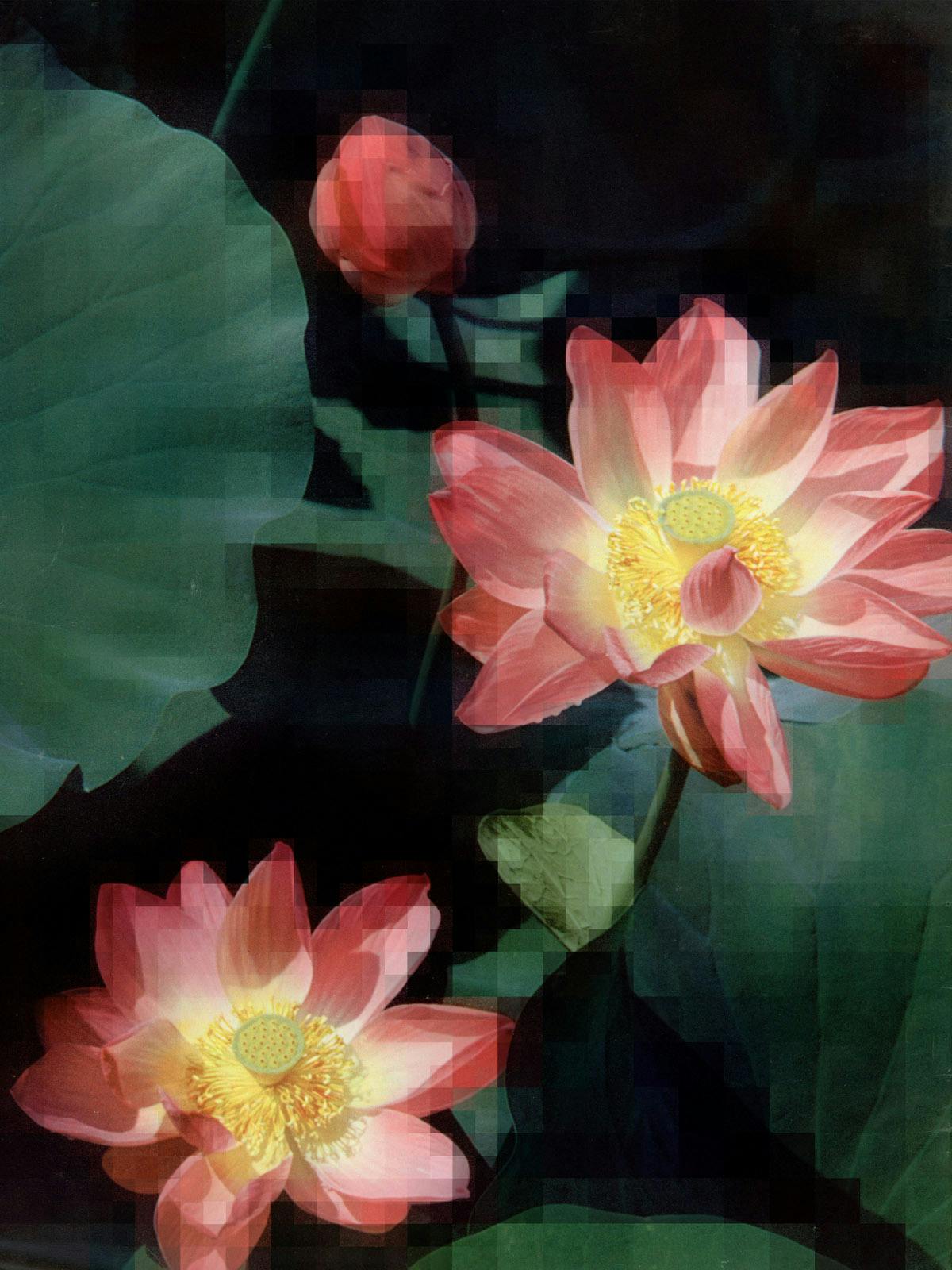 tableau chinois_10 2019
