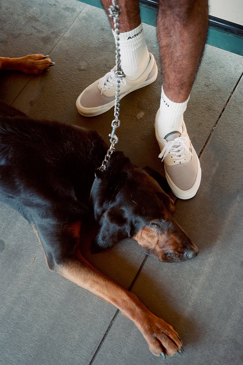 adsum-vans-ss22-collab-info-004