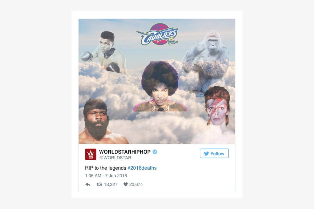 best-memes-of-2016-Harambe