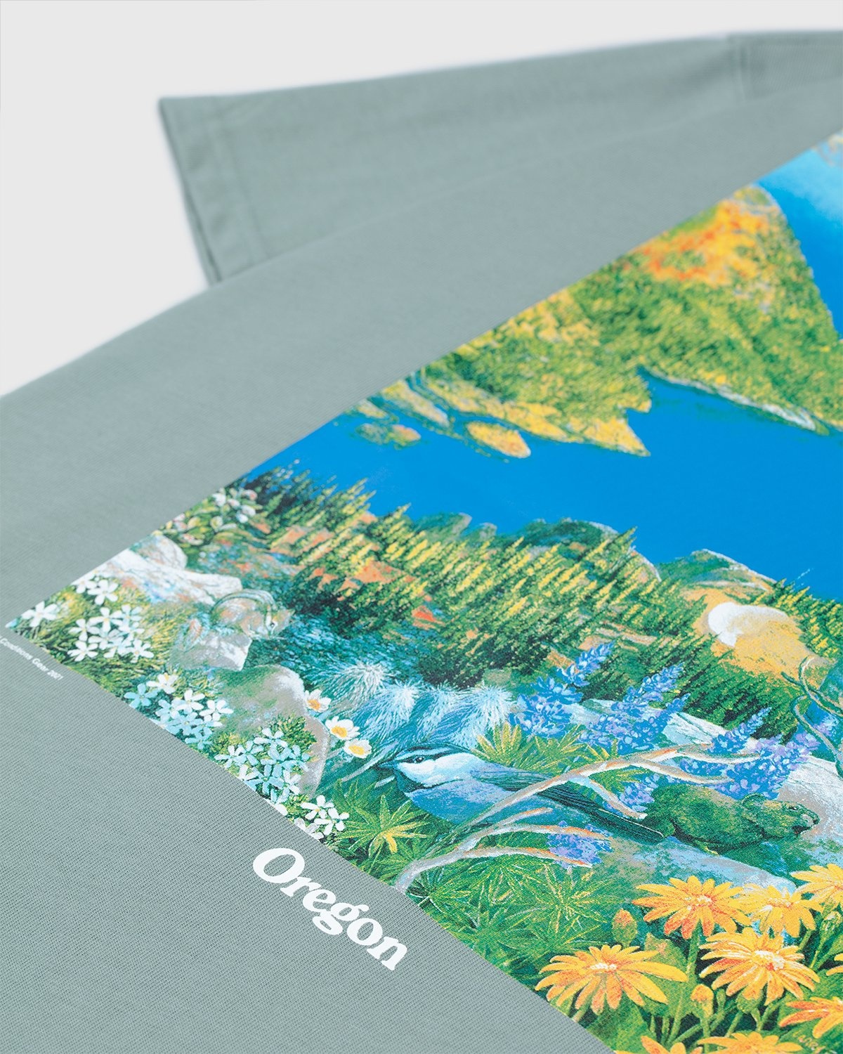 Nike ACG – M NRG ACG SS Crater Lake Tee Green - T-shirts - Green - Image 5