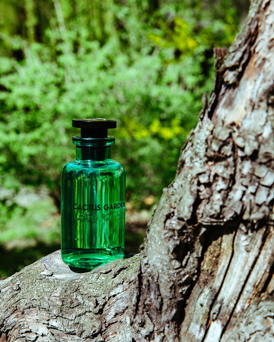 Bliv ophidset Moderat Socialisme Louis Vuitton Les Colognes Collection: Description & Review
