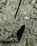 Patta – Paisley Reversible Jacket Black Paisley - Outerwear - Black - Image 10