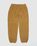 Nike ACG – Polartec® "Wolf Tree" Men's Pant Khaki - Pants - Brown - Image 2