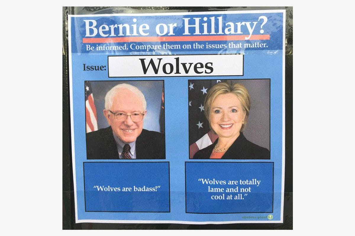 best-memes-of-2016-Bernie and Hillary
