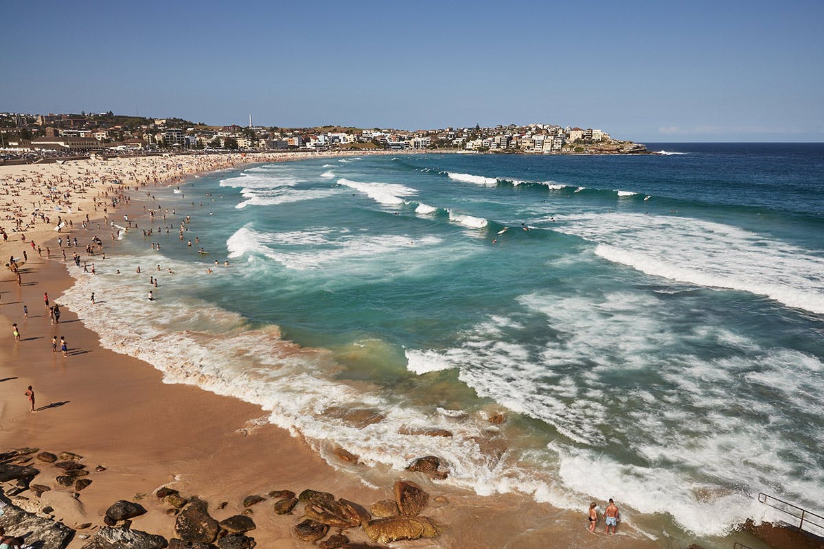 mark-vassallo-braun-sydney-interview-05