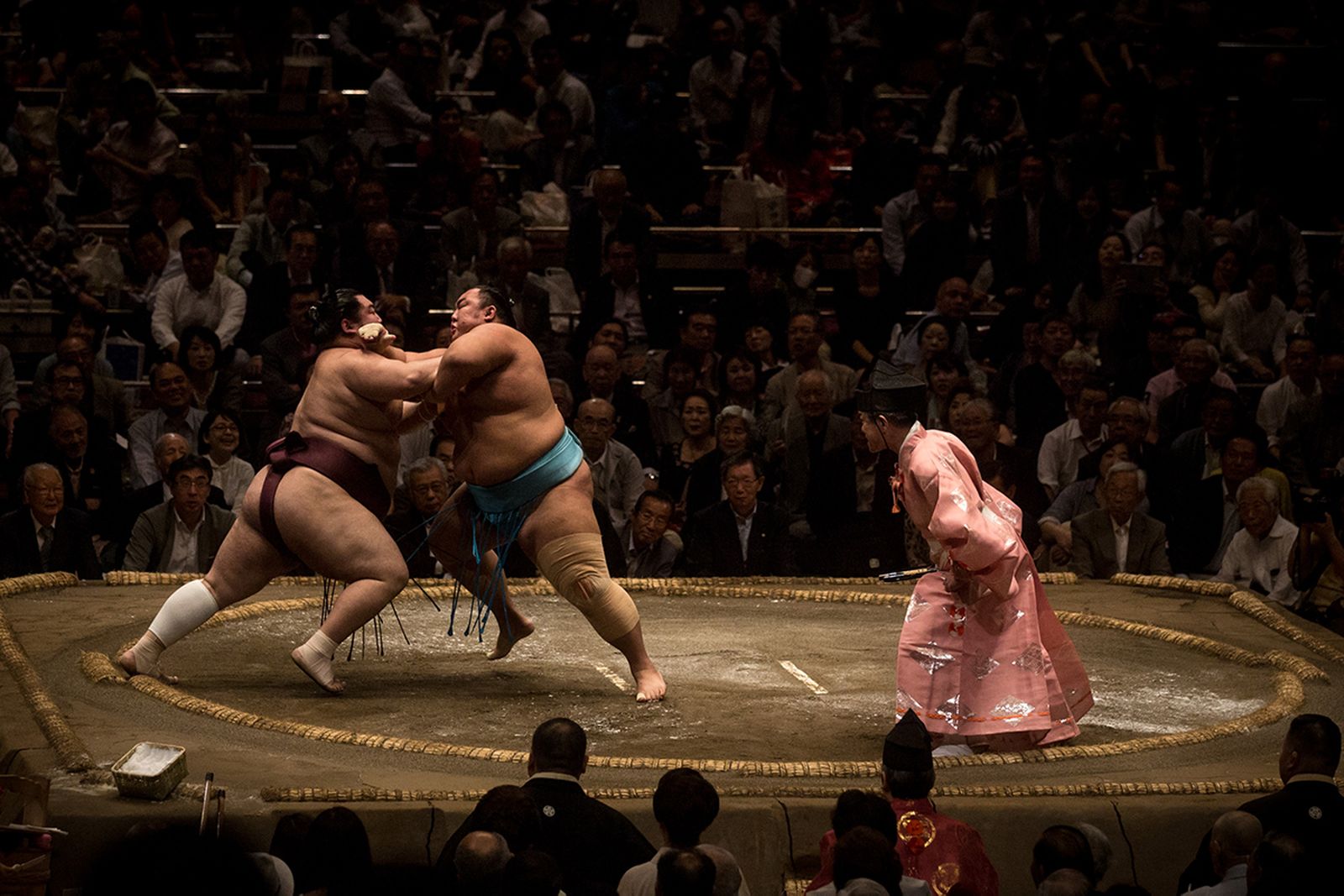sumo wrestling guide main