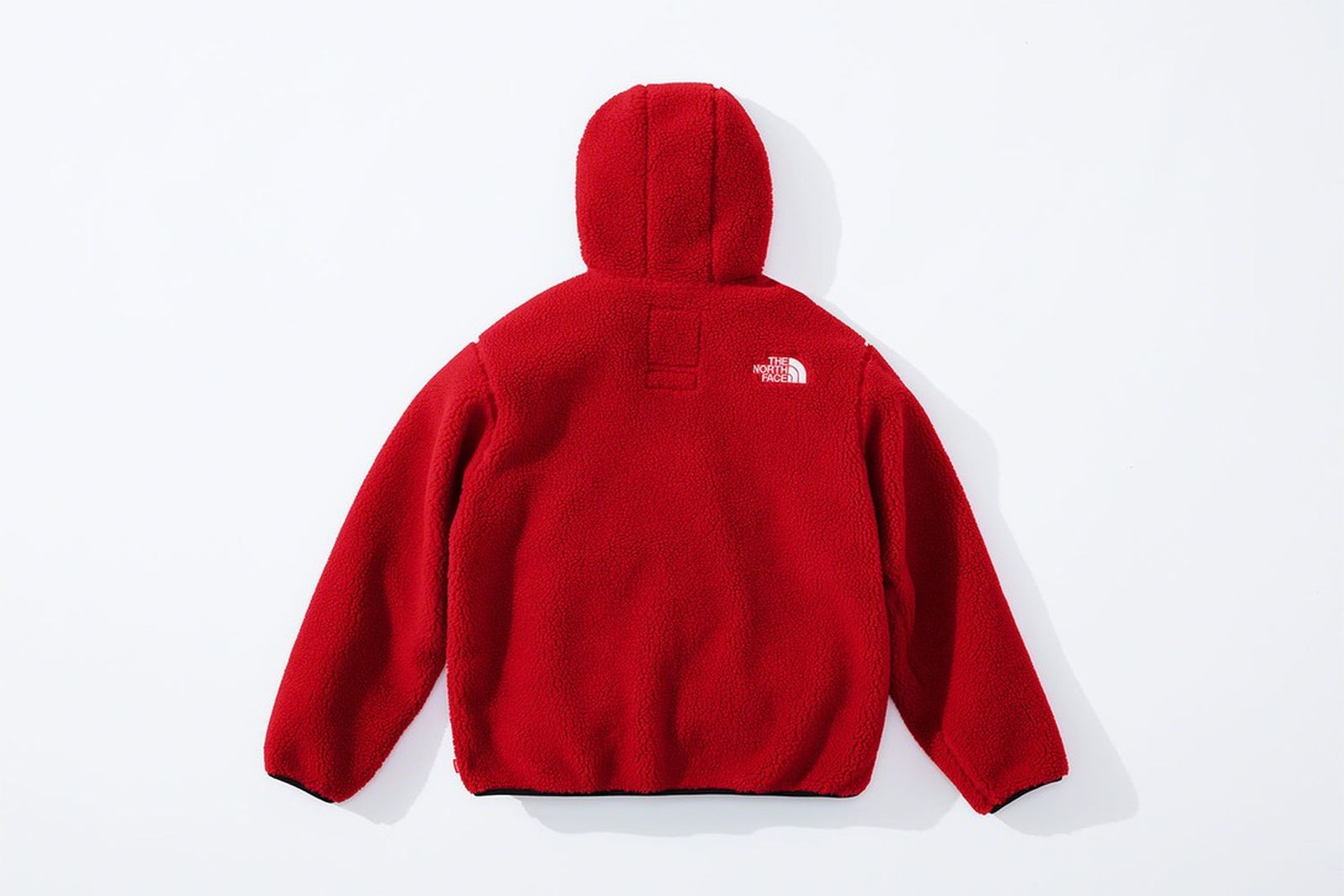 the-north-face-supreme-fw20-product-19