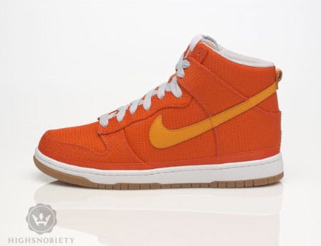 nike-spring-2009-dunk-hi-13