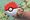 pokemon-casetify_0002_07_PR 1200x800